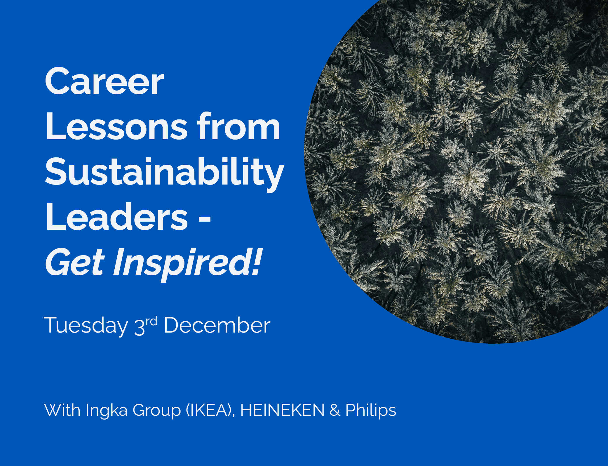 Career Lessons from Sustainability Leaders – Get Inspired!